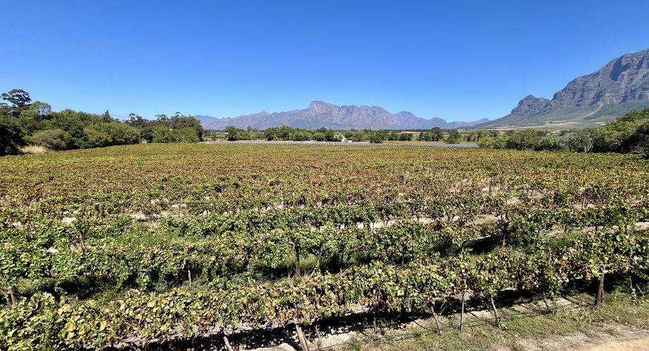 Optionele wijntours Zuid Afrika groepsrondreis 1